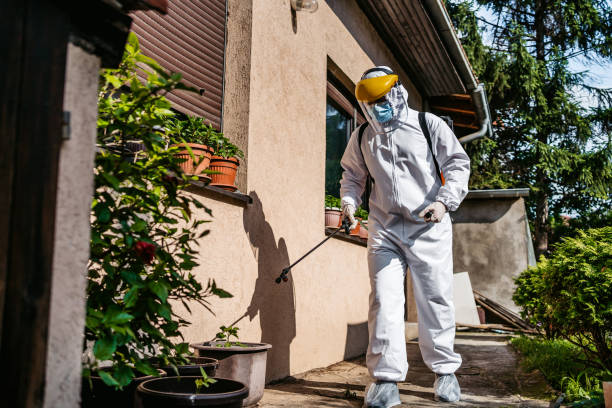 Best Pest Removal Services  in Mayer, MN