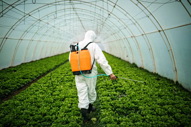 Pest Prevention Services in Mayer, MN