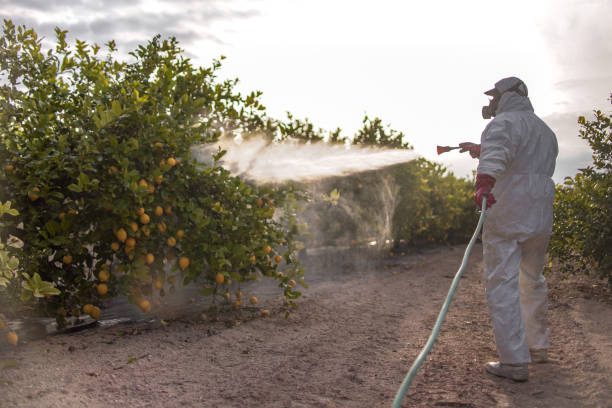 Best Mosquito Control Services  in Mayer, MN