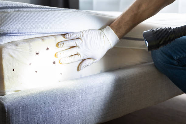 Pest Control Cost in Mayer, MN